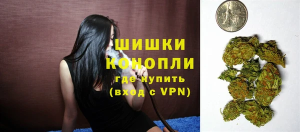 кокс Богородицк