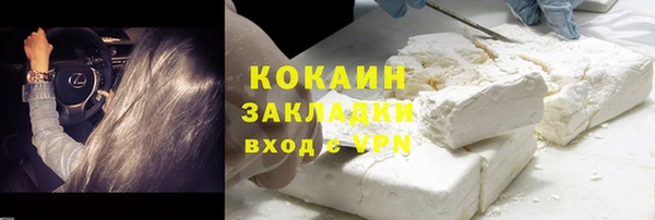 кокс Богородицк