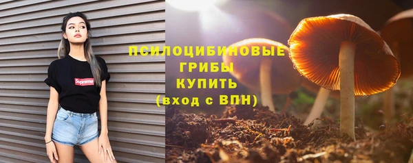 кокс Богородицк