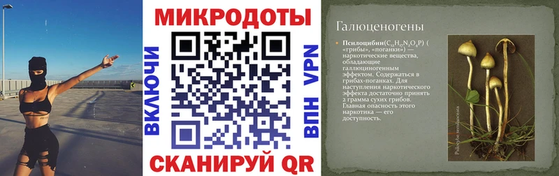 Галлюциногенные грибы мицелий  Короча 